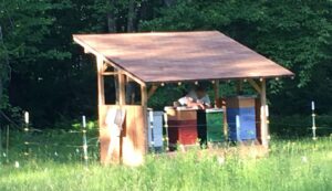 beehouse